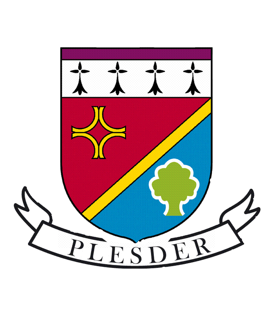 Logo Plesder